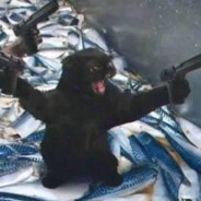 阶下青苔与红树