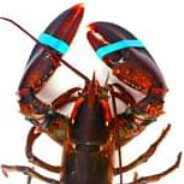 Eiกุ้ง avatar