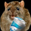 The rat