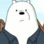 Polar