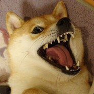 狗与酒