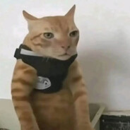 爱窜西的小女孩