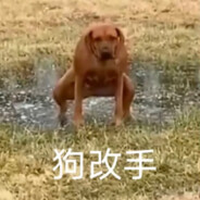 我给你妈一朵花