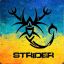 Strider