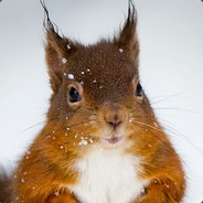 Kurulu avatar