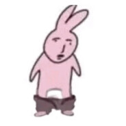 林中自有树叶出