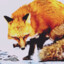 The Somewhat Fantastic Mr. Fox