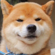 Soum柴犬哥[代理]