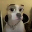 Downboy