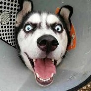 超级无敌骏神能C