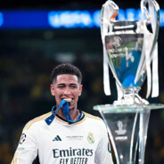 翻斗花园 培养基