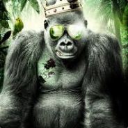 Royal Gorilla