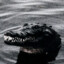 ElGator