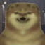 ✪ Osci