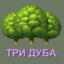 Тридуба