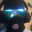 R4c1smisgud_XBOX