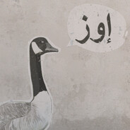 goose