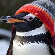 Penguins Wearing Hats