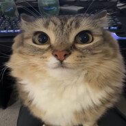 BLiNchiK ︻デ 一 -™ - steam id 76561199617480103