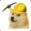 Doge Tycoon