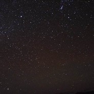 本行最忌讳爱上客人