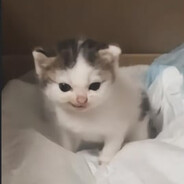 ฤ