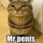Mr Penis