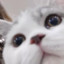 yueyue