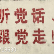 种花家的炮灰兔