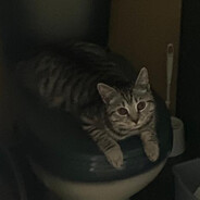 777