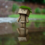 卡萨丁几哈上来看的话