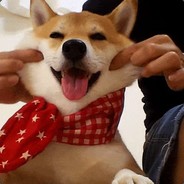 PAJI
