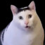 ADY