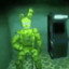Goontrap