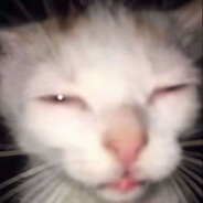 叮咚