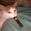 JuulCat