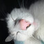 Beton's avatar