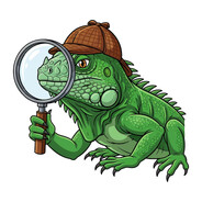 Iguana