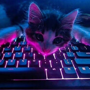 haZeee - steam id 76561199409709389