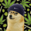 Doge weed