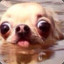 Buglyboo01