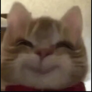 lennul