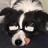 Dumb Mutt