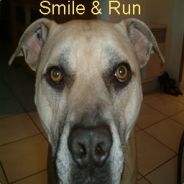 (_.·´¯`·«¤¤°ا Pac °¤�