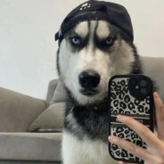 不用吃饭也没用