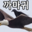 CrowRish
