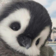 瀚海阑干愁云惨