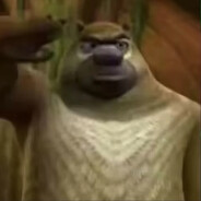 狗熊岭爆破小组-熊二