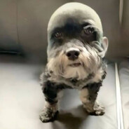 Захар avatar