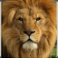 ::Lion::